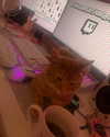 swag_charhar Altpins Profile Picture