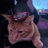 swag_charhar Altpins Profile Picture