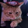 swag_charhar Altpins Profile Picture