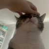 swag_charhar Altpins Profile Picture