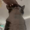 swag_charhar Altpins Profile Picture