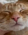 swag_charhar Altpins Profile Picture
