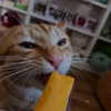 swag_charhar Altpins Profile Picture