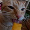 swag_charhar Altpins Profile Picture