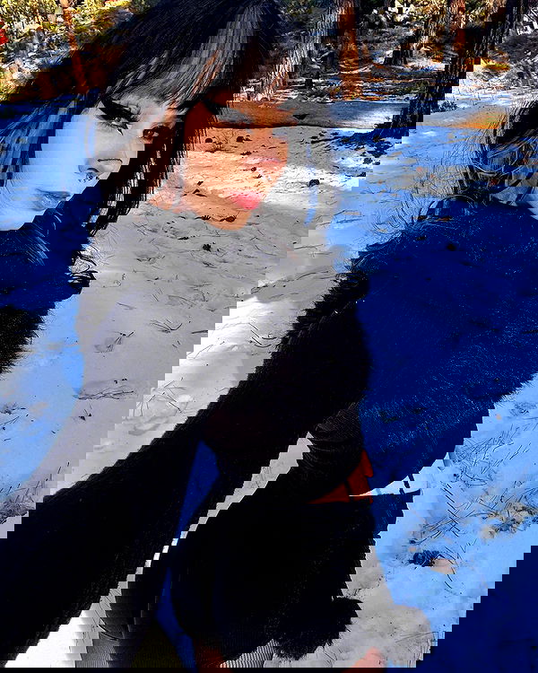 sweetmuffinnss sweetmuffinnss archive image