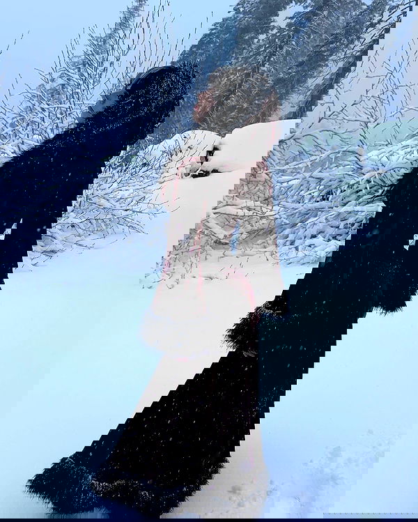 sweetmuffinnss sweetmuffinnss archive image