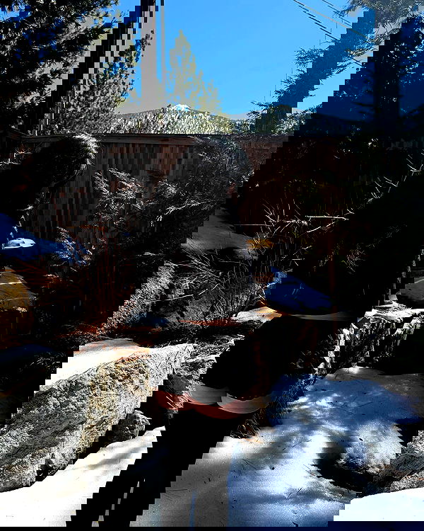 sweetmuffinnss sweetmuffinnss archive image