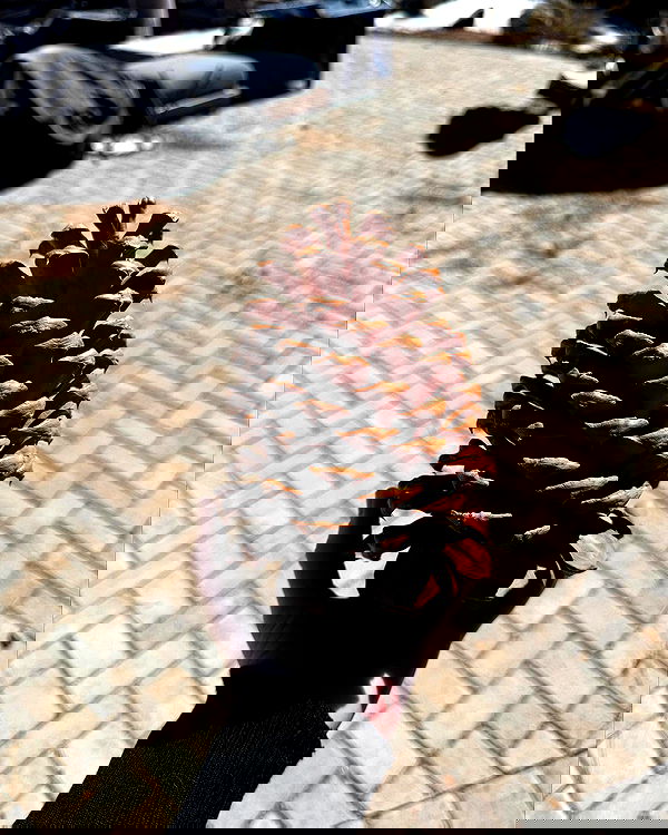 sweetmuffinnss sweetmuffinnss archive image