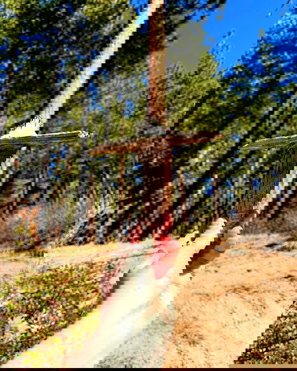 sweetmuffinnss sweetmuffinnss archive image