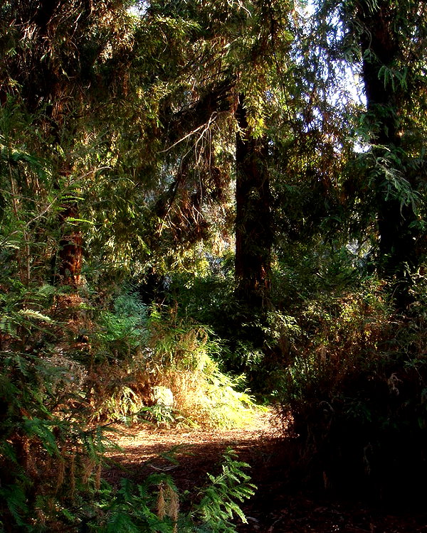 swordange1 instagram image archive image