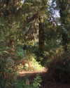 swordange1 Altpins Profile Picture