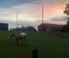 swordange1 Altpins Profile Picture