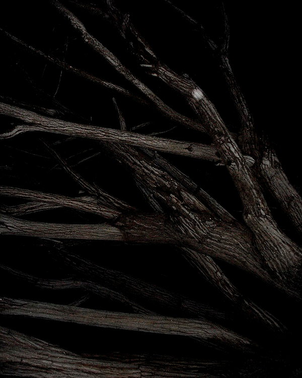 swordange1 swordange1 archive image