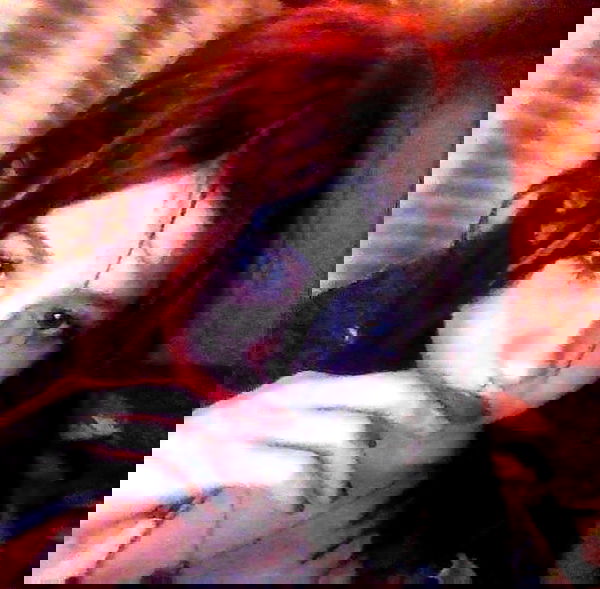 sx.llexxy sx.llexxy archive image