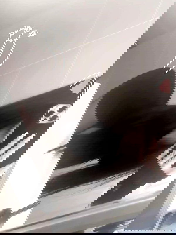 sx.llexxy sx.llexxy archive image