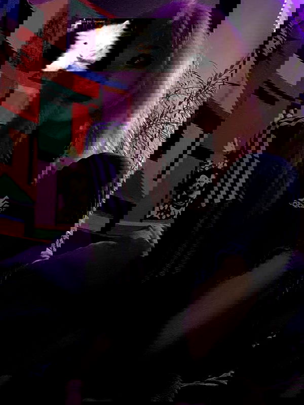 sx.llexxy sx.llexxy archive image