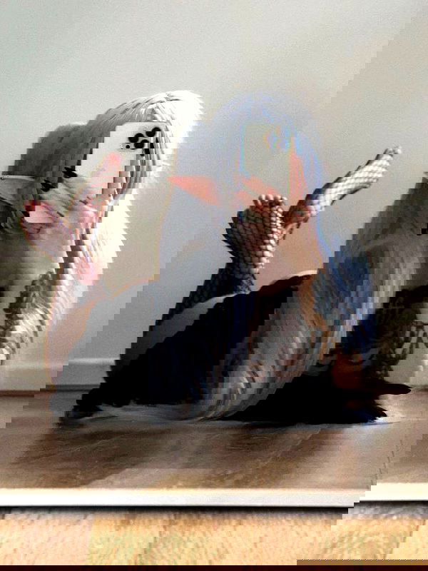 sx.llexxy sx.llexxy archive image