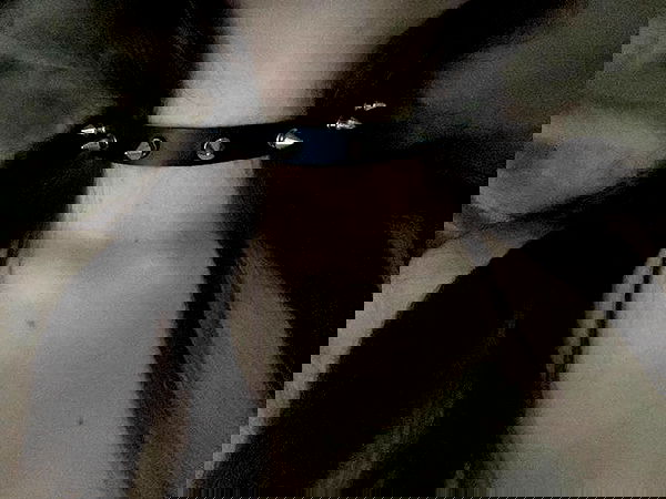 sx.llexxy sx.llexxy archive image