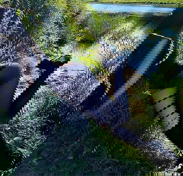 sx.llexxy sx.llexxy archive image