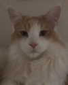 sxraya777 Altpins Profile Picture