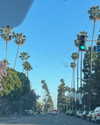 sydney_melman Altpins Profile Picture