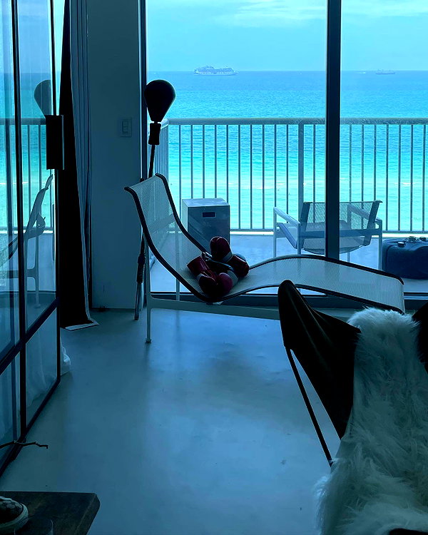 sydney_melman instagram image archive image