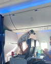 sydney_melman Altpins Profile Picture