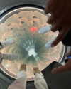 sydney_melman Altpins Profile Picture