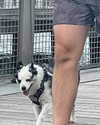 sydney_melman Altpins Profile Picture