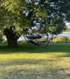 sydney_melman Altpins Profile Picture