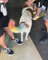 sydney_melman Altpins Profile Picture