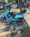 sydney_melman Altpins Profile Picture
