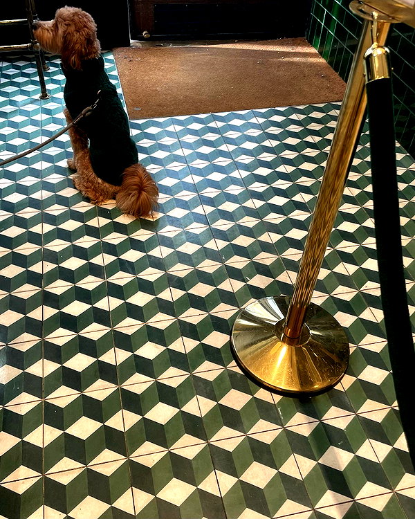 sydney_melman instagram image archive image