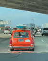 sydney_melman Altpins Profile Picture