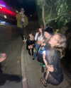 sydney_melman Altpins Profile Picture