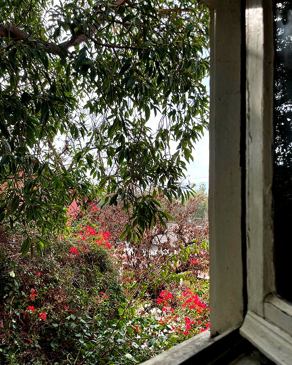 sydney_melman instagram image archive image