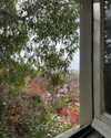 sydney_melman Altpins Profile Picture