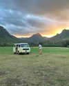 sydney_melman Altpins Profile Picture