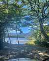 sydney_melman Altpins Profile Picture
