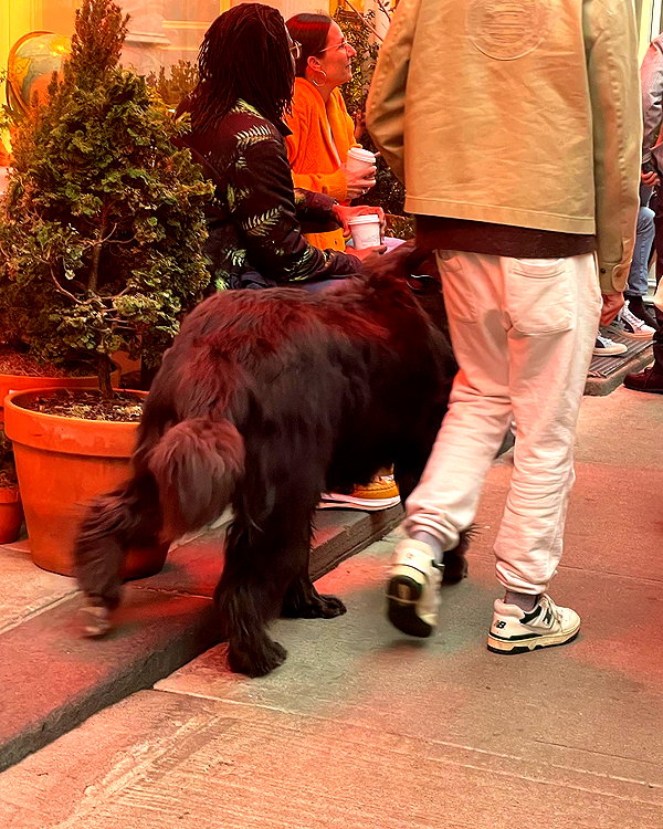 sydney_melman instagram image archive image