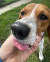sydney_melman Altpins Profile Picture
