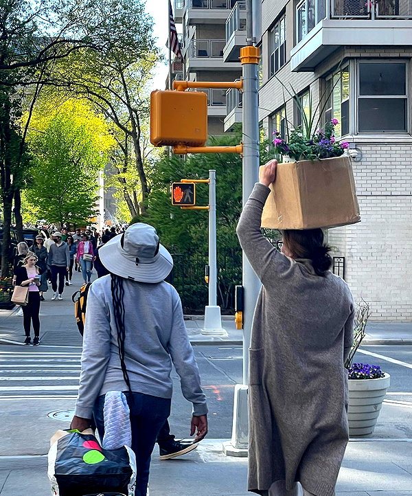 sydney_melman instagram image archive image