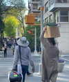 sydney_melman Altpins Profile Picture
