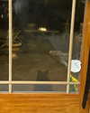 sydney_melman Altpins Profile Picture