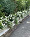 sydney_melman Altpins Profile Picture