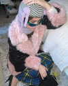 sydney_melman Altpins Profile Picture