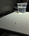 sydney_melman Altpins Profile Picture