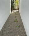 sydney_melman Altpins Profile Picture