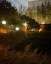 sydney_melman Altpins Profile Picture