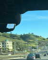 sydney_melman Altpins Profile Picture